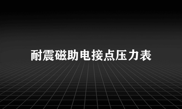 耐震磁助电接点压力表