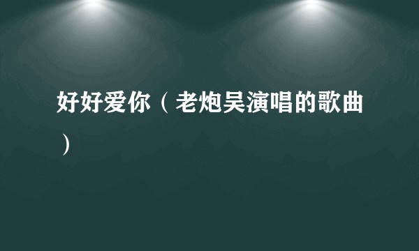 好好爱你（老炮吴演唱的歌曲）