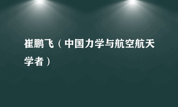崔鹏飞(中国力学与航空航天学者)