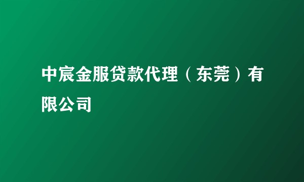 中宸金服贷款代理（东莞）有限公司