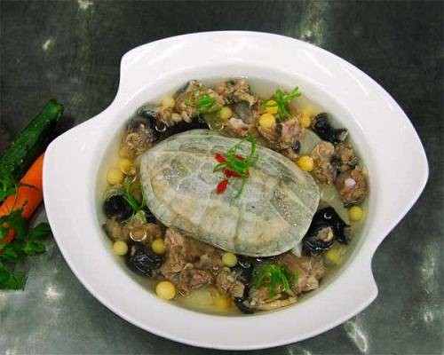 清蒸甲鱼(以甲鱼、香菇主料制作的药膳)
