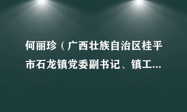 何丽珍（广西壮族自治区桂平市石龙镇党委副书记、镇工会主席）