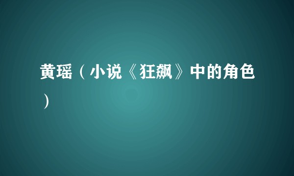 黄瑶（小说《狂飙》中的角色）