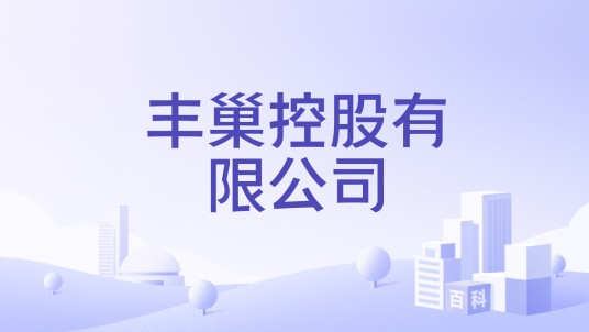 丰巢控股有限公司