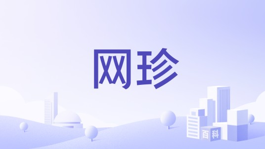 网珍