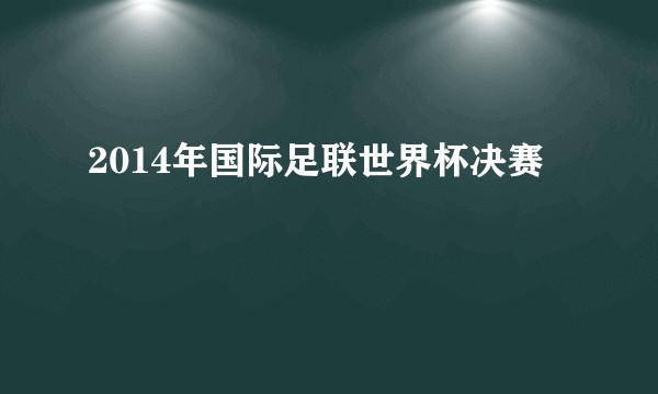 2014年国际足联世界杯决赛