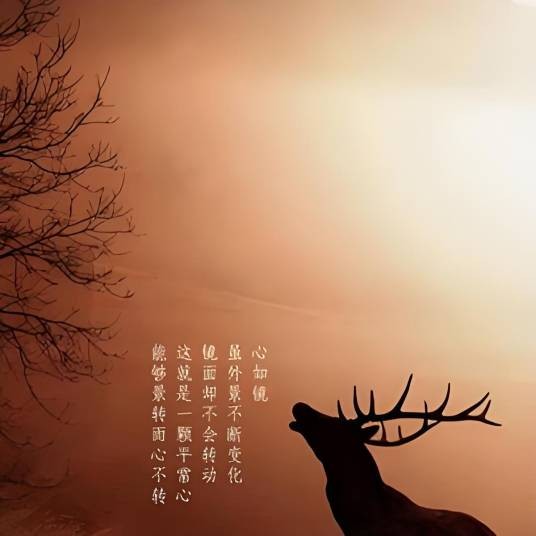 华安驾驶员培训学校