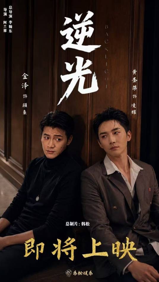 逆光（2026年李翰东执导的电视剧）