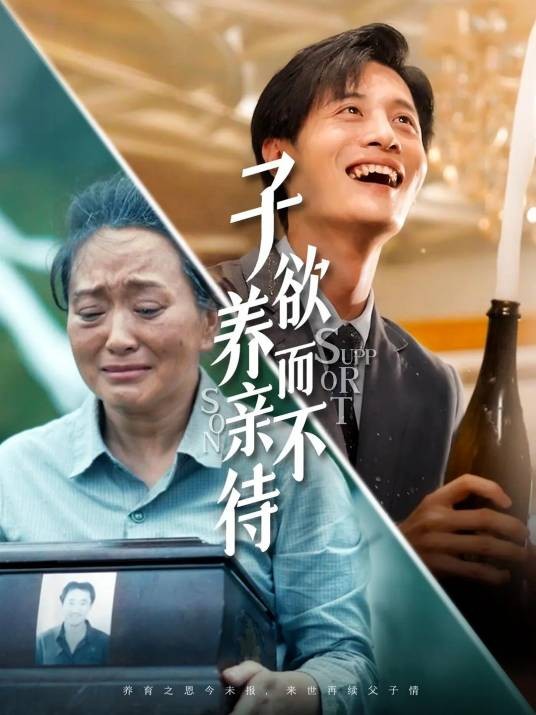 子欲养而亲不待（短剧）