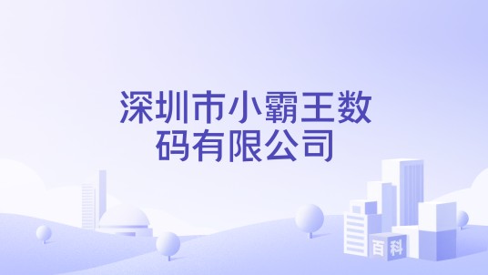 深圳市小霸王数码有限公司