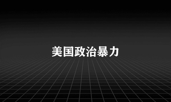 美国政治暴力