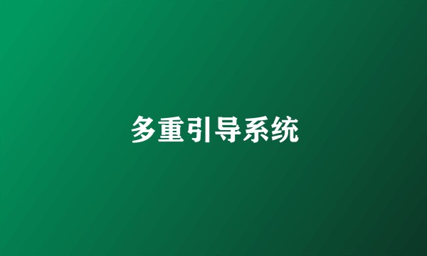 多重引导系统