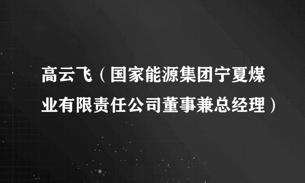 高云飞（国家能源集团宁夏煤业有限责任公司董事兼总经理）