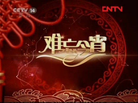 难忘今宵（中国中央电视台原栏目）