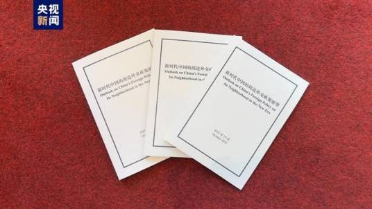 新时代中国的周边外交政策展望