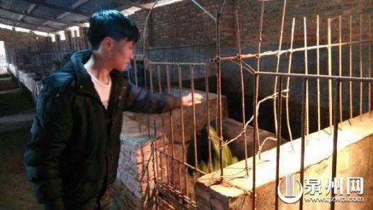 姚春侨