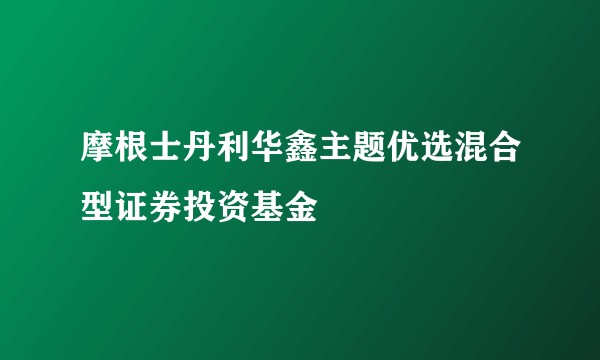 摩根士丹利华鑫主题优选混合型证券投资基金