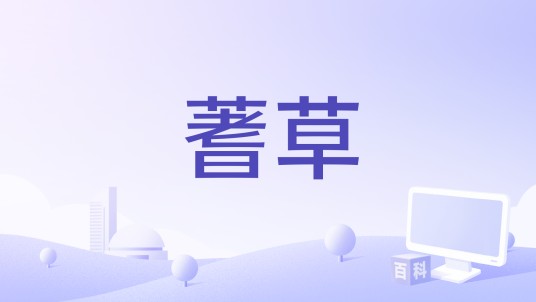 蓍草（2013年Nouri Bouzid执导的电影）