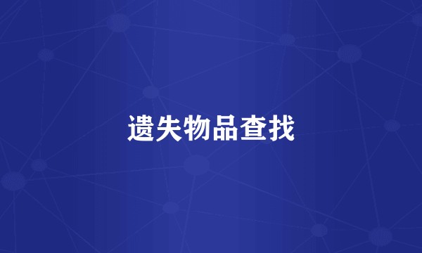 遗失物品查找