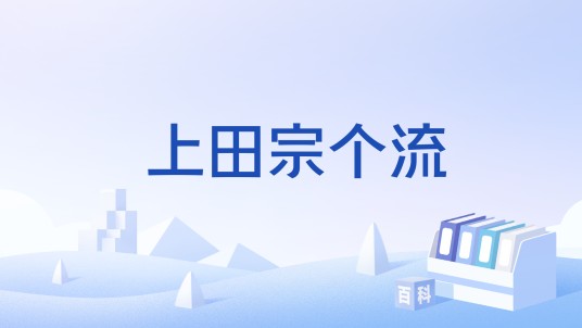 上田宗个流
