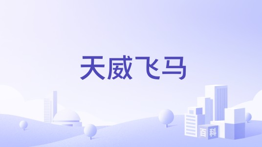 天威飞马