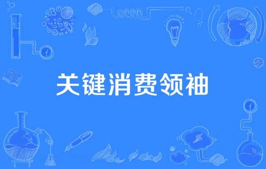 关键消费领袖