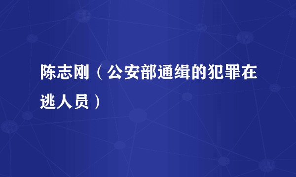 陈志刚(公安部通缉的犯罪在逃人员)