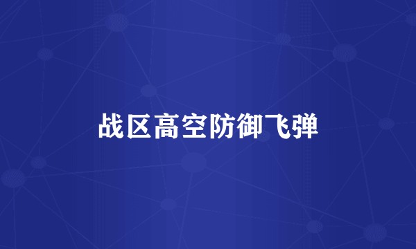 战区高空防御飞弹