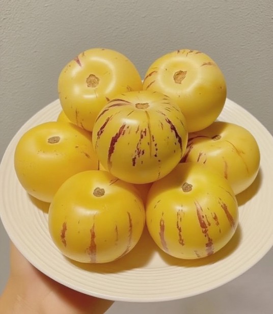 超级人参果品种