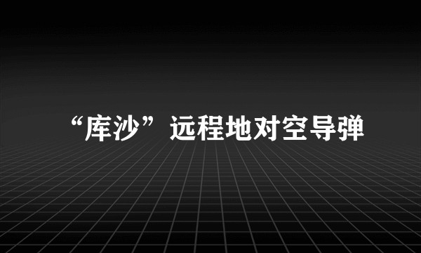 “库沙”远程地对空导弹