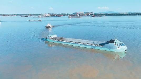 河豚蔚蓝01