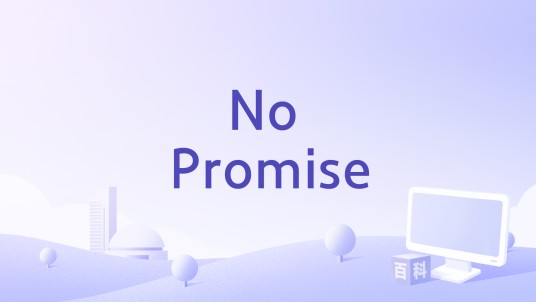 No Promise（彭家丽演唱的歌曲）
