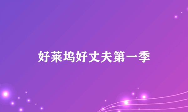 好莱坞好丈夫第一季