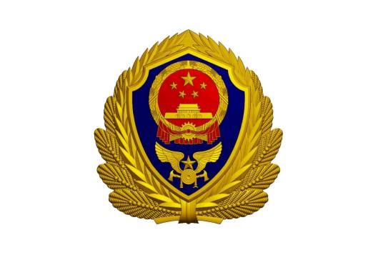 中国消防救援队队徽
