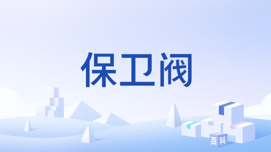 保卫阀