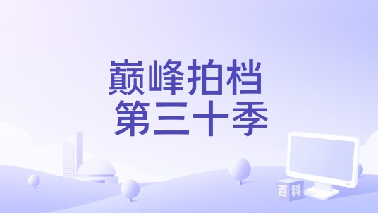 巅峰拍档 第三十季