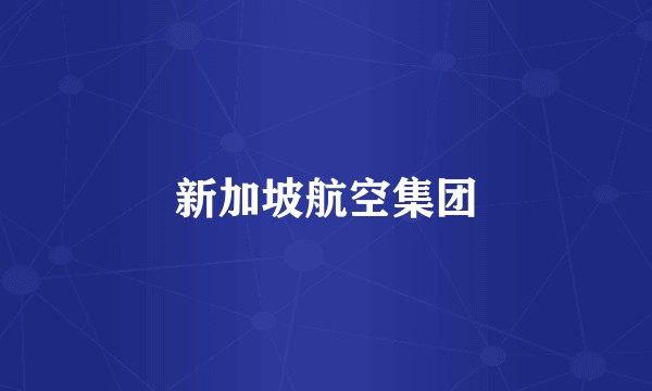 新加坡航空集团