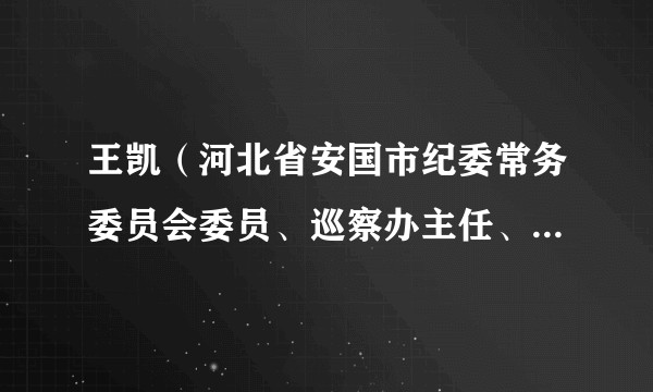 王凯（河北省安国市纪委常务委员会委员、巡察办主任、一级监察官）