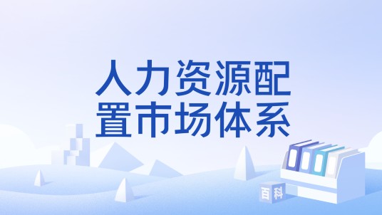 人力资源配置市场体系