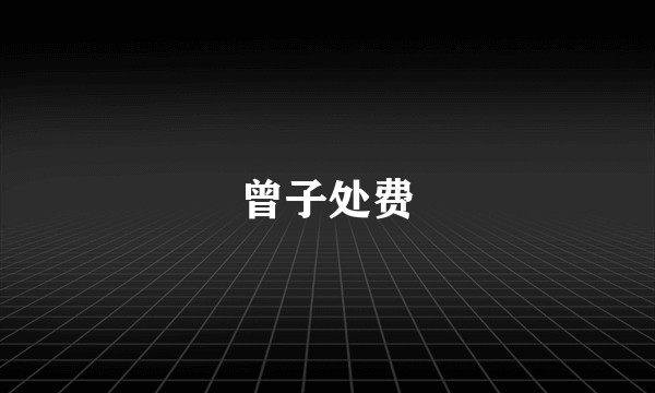曾子处费