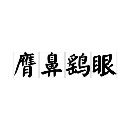 膺鼻鹞眼