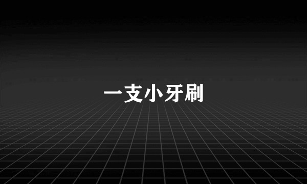 一支小牙刷