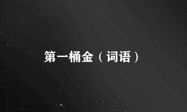 第一桶金（词语）