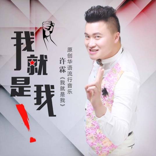 我就是我（许霖演唱的歌曲）