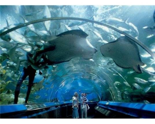 悉尼水族馆