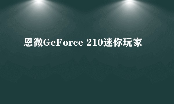 恩微GeForce 210迷你玩家