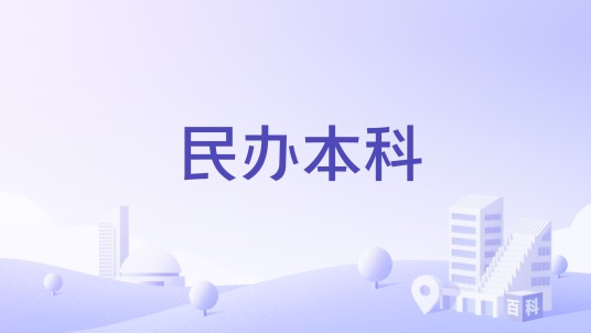 民办本科（社会力量举办的本科院校）