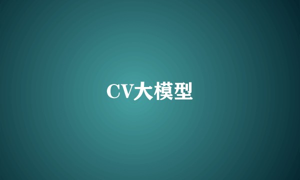 CV大模型