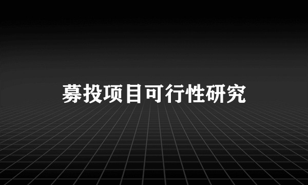 募投项目可行性研究