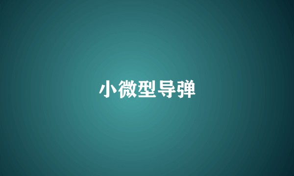 小微型导弹